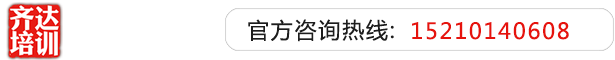 大鸡巴操骚逼黄色视频齐达艺考文化课-艺术生文化课,艺术类文化课,艺考生文化课logo